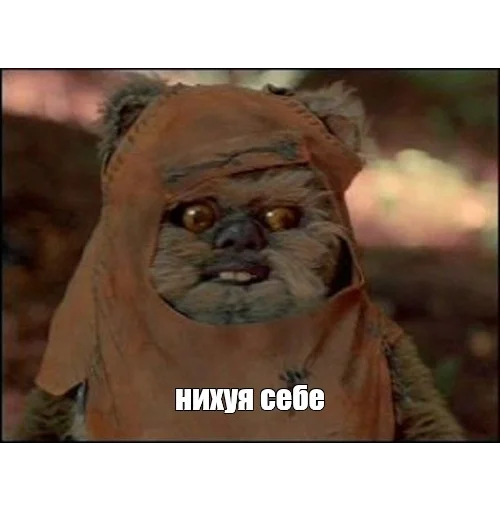 screenshot mammal outdoor