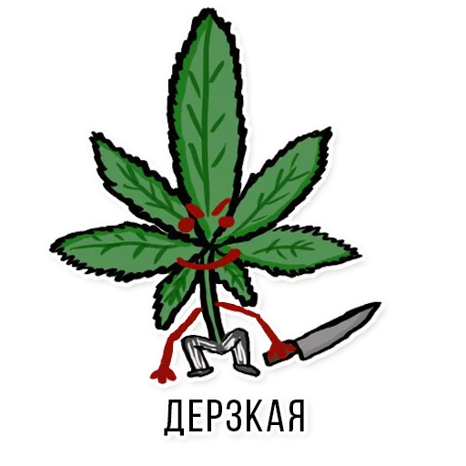 drawing sketch flower