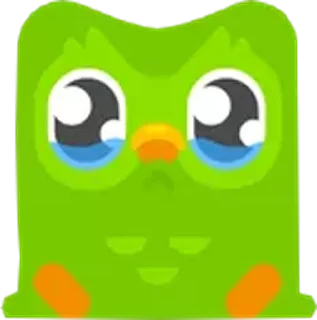 Стикер Duolingo - 5
