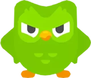 Стикер Duolingo - 4