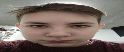 person human face sweater