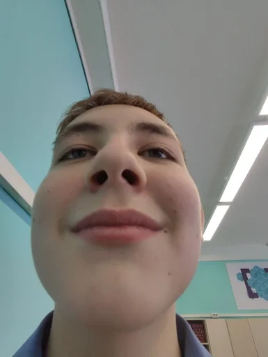 человеческое лицо селфи Человек