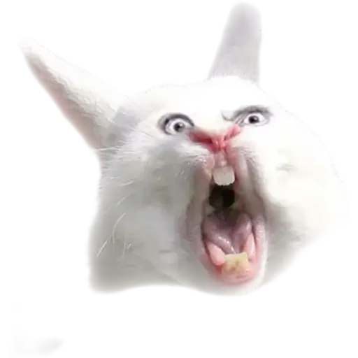 Дурдом на выезде - 