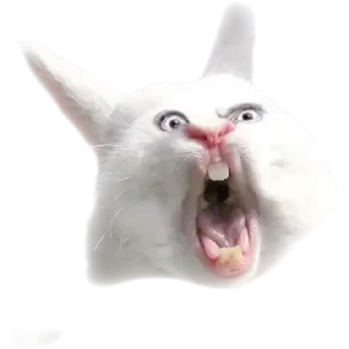 Sticker Дурдом на выезде - 3