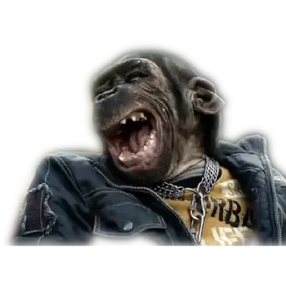 Sticker Дурдом на выезде - 5