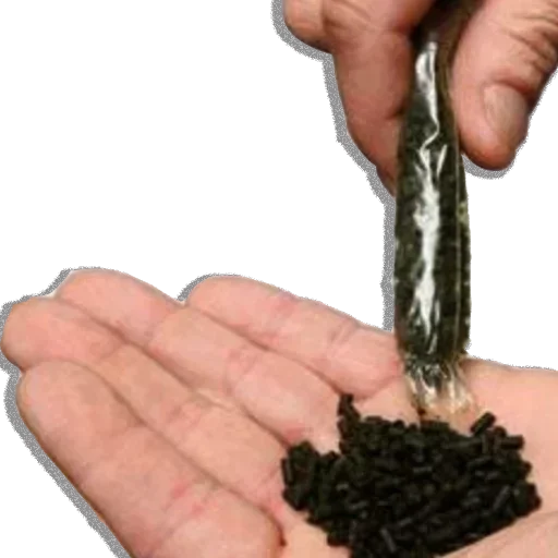 Человек палец рука