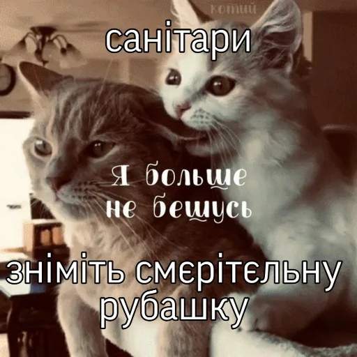 Стикер Дурка імені Бігдана Вівка - 7