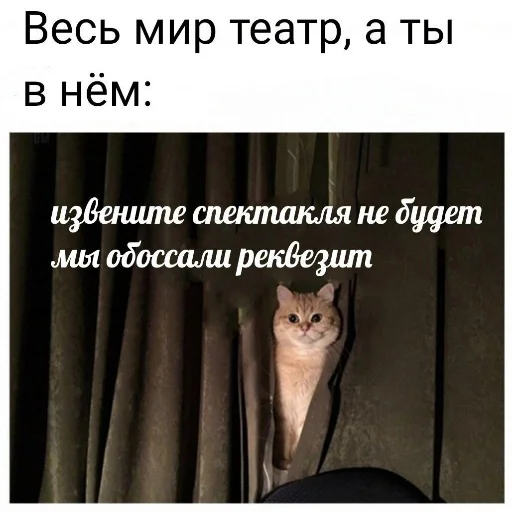 Стикер Дурка імені Бігдана Вівка - 4