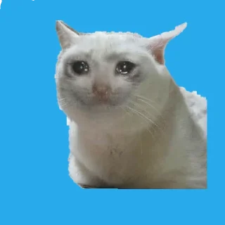 Стикер Двбал - 5