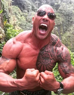 Стикер The Rock - 2