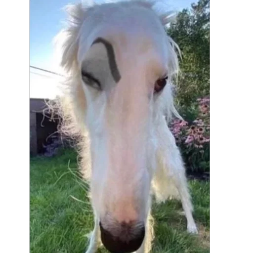 Sticker DwgDyYn_by_achestickbot - 1