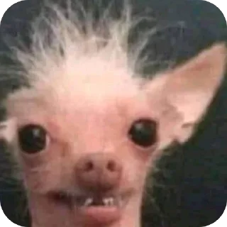 Sticker Больше стиков тут: @stikery4 - 11