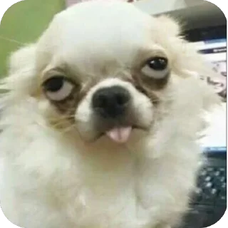 Sticker Больше стиков тут: @stikery4 - 10