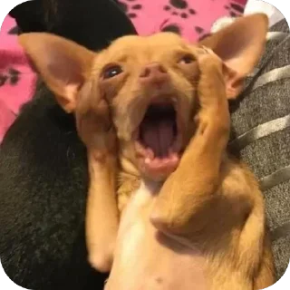 Sticker Больше стиков тут: @stikery4 - 6