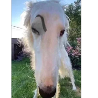 Sticker Больше стиков тут: @stikery4 - 7