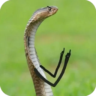 Sticker Больше стиков тут: @stikery4 - 4