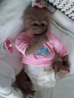 Sticker Лада - 2