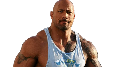 Sticker Dwayne Johnson (The Rock) Sticker Pack - 3