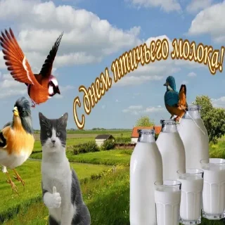 Стикер Больше стикеров 👉🏻 @stickertg4 - 4