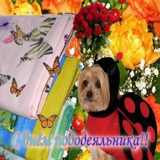 Стикер Больше стикеров 👉🏻 @stickertg4 - 2