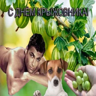 Стикер Больше стикеров 👉🏻 @stickertg4 - 1