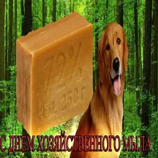 Стикер Больше стикеров 👉🏻 @stickertg4 - 9