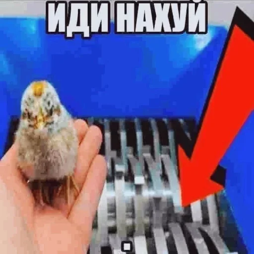 Sticker DxFzFAm_by_stickers_generator_bot - 1