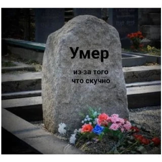 Sticker Дядь ты чего смотришь? - 10