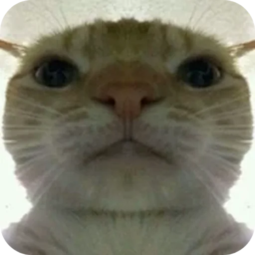 Дядя чорни негр - 