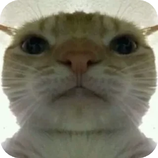 Стикер Дядя чорни негр - 0