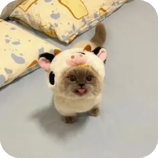 Sticker дядя фей - 2