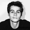Dylan / Stiles :: @fStikBot - 