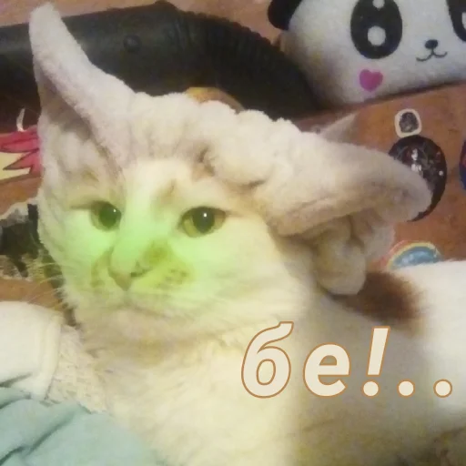 Стикер Дуська💛 - 9