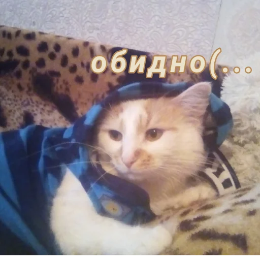 Стикер Дуська💛 - 7