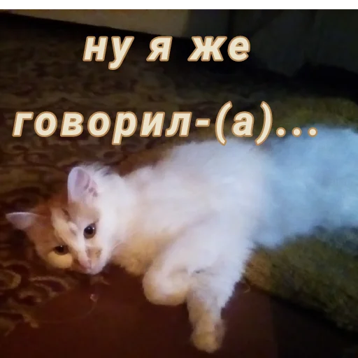 Стикер Дуська💛 - 2