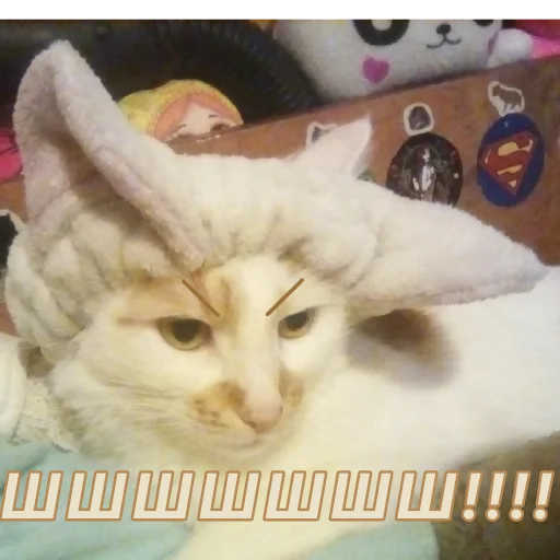 Стикер Дуська💛 - 1