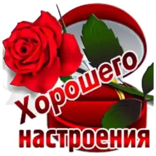 Sticker Dze_wivLVy_by_sticker0016Bot - 1