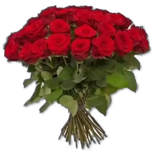 Sticker Dze_wivLVy_by_sticker0016Bot - 1