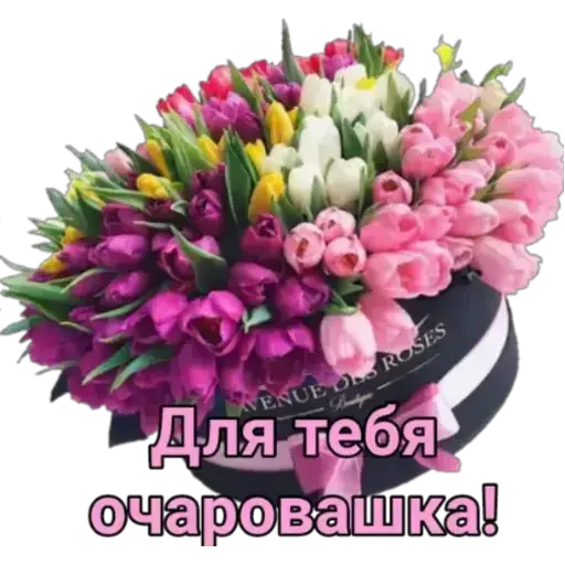 Sticker Dze_wivLVy_by_sticker0016Bot - 1