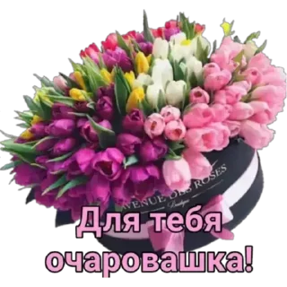 Sticker Dze_wivLVy - 8