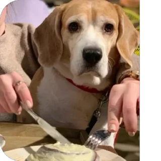 Sticker Джули - 6