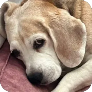 Sticker Джули - 10