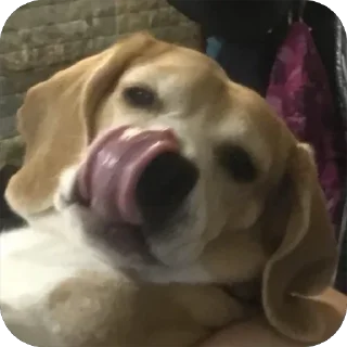 Sticker Джули - 5