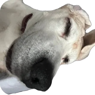 Sticker Джули - 11