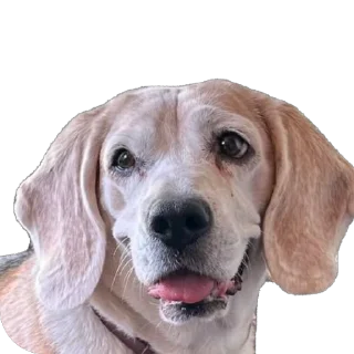 Sticker Джули - 1