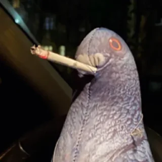 Стикер Больше стикеров 👉🏻 @stickertg4 - 2