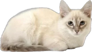 Sticker Создать стики 👉🏻 @EmojiRuBot - 10