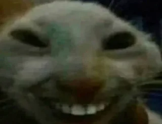 Стикер Му Блять - 0