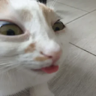 Стикер Му Блять - 9