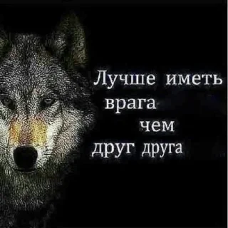 Sticker Создай свои стикеры - @sozdsti_bot - 4